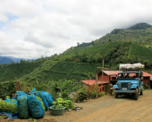 iStock-874070774_baja