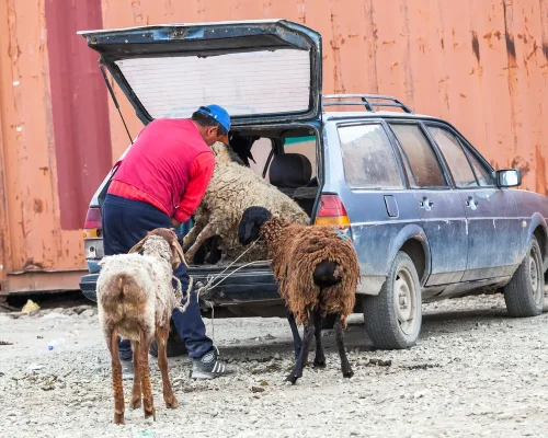 iStock-904902784_resultado_BAJA