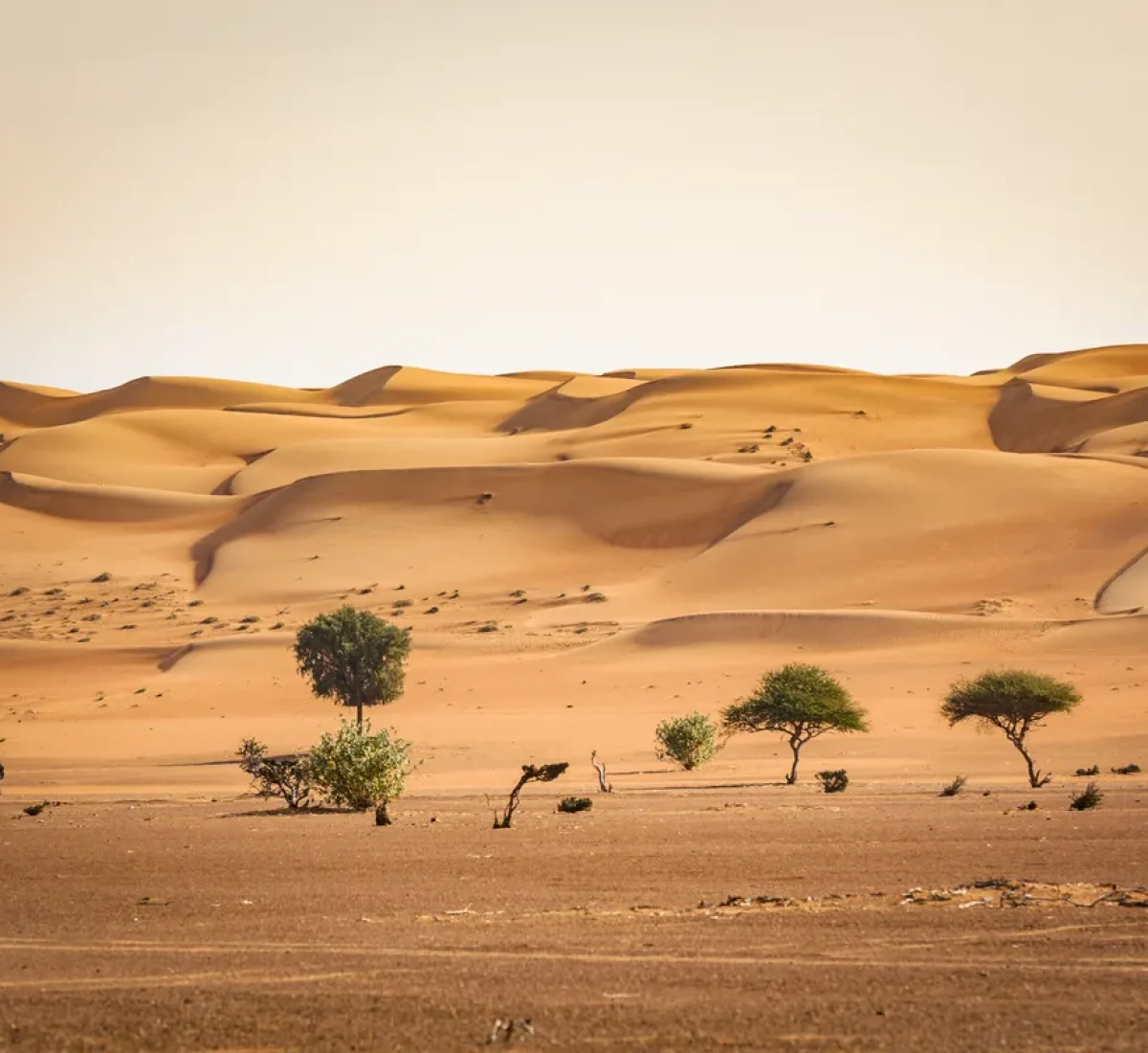 iStock-925443664_BAJA