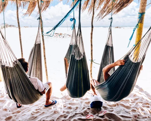 iStock-995013538_BAJA