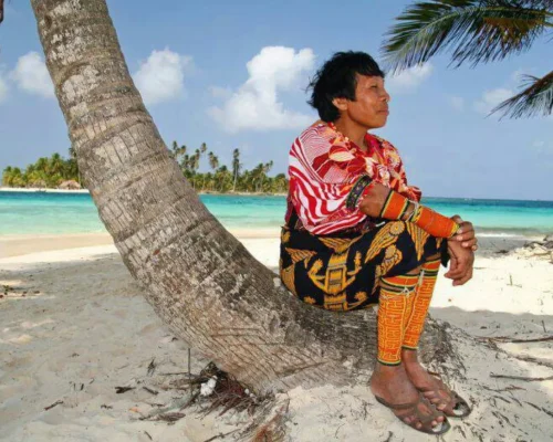 image (4)_BAJA