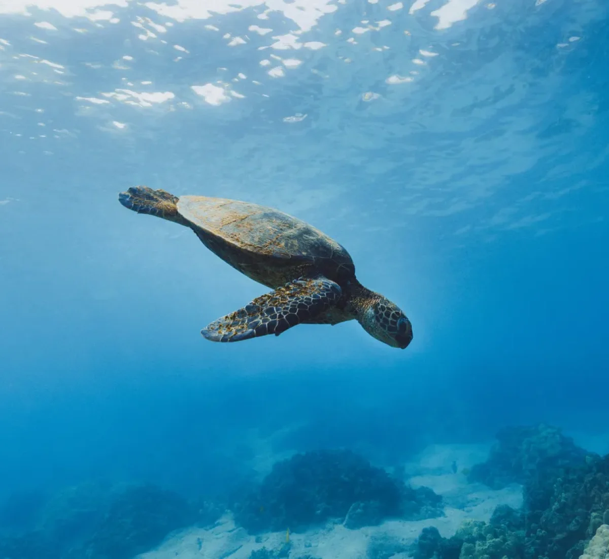 jakob-owens-za9MCg787eI-unsplash_BAJA