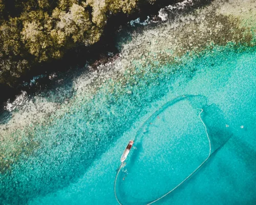 joao-ferreira-vI1bJYH7YUA-unsplash_baja
