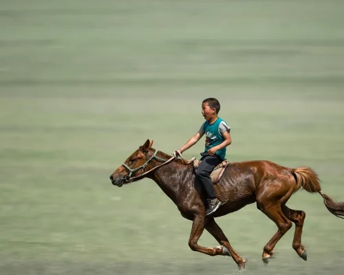 kanenori-boy-7143682_1920_BAJA