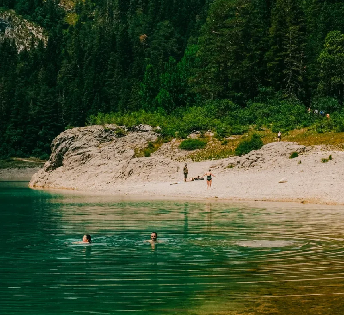 maria-ivanova-j_NSu0ofG1s-unsplash_BAJA