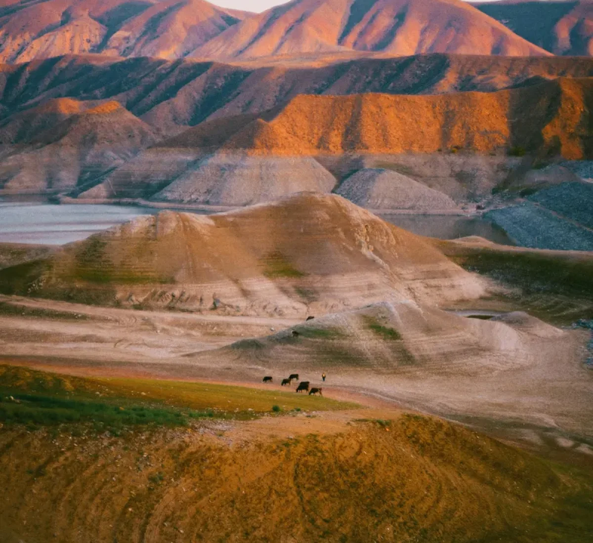 pexels-annakester-15456553_baja