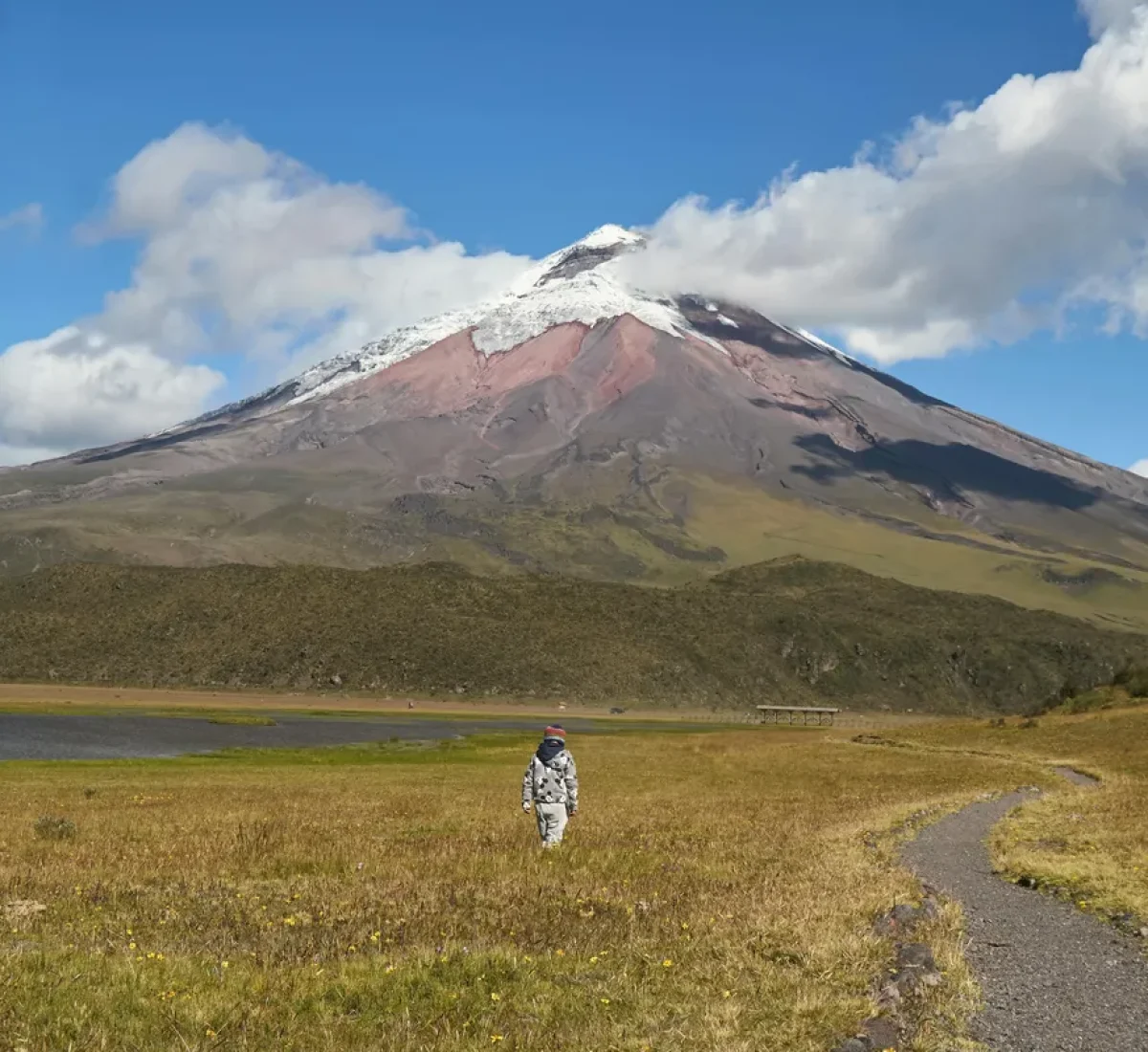 pexels-cristian-albito-21434310-30873124_BAJA