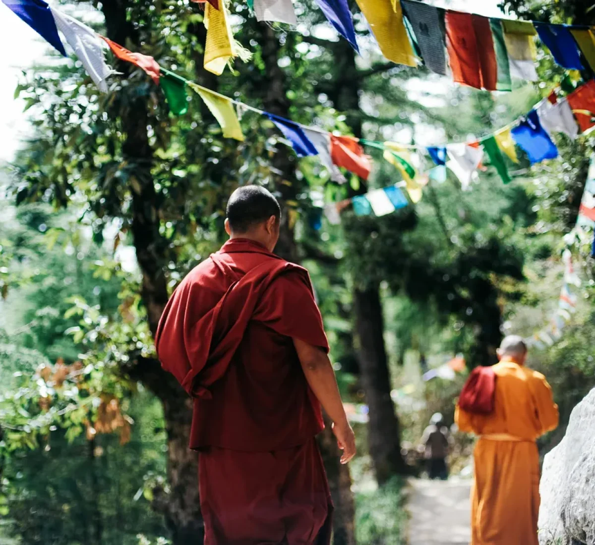 pexels-dejongwout-750895_BAJA