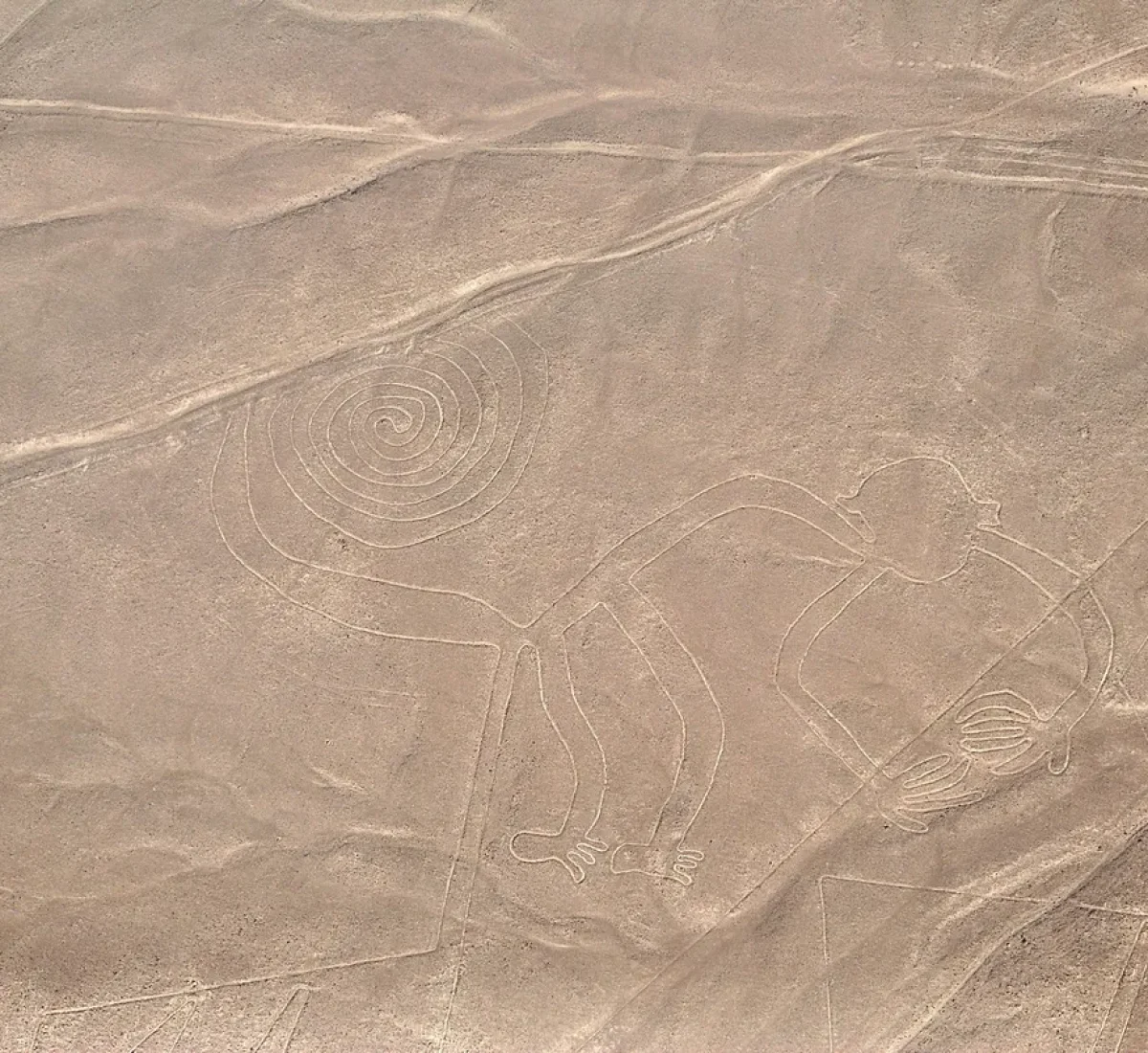 pexels-janeth-charris-468202554-17428661_BAJA