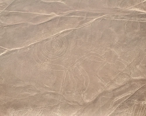 pexels-janeth-charris-468202554-17428661_baja