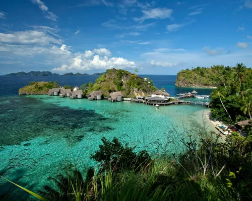 pexels-jeffry-surianto-11579902_BAJA