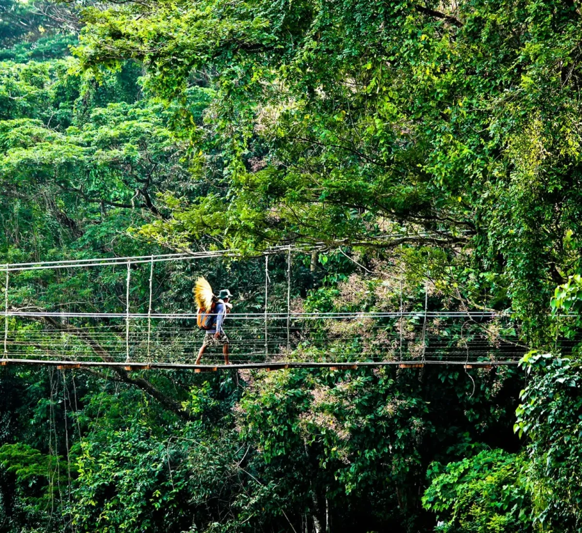 pexels-jm-dequina-111050-342861_BAJA