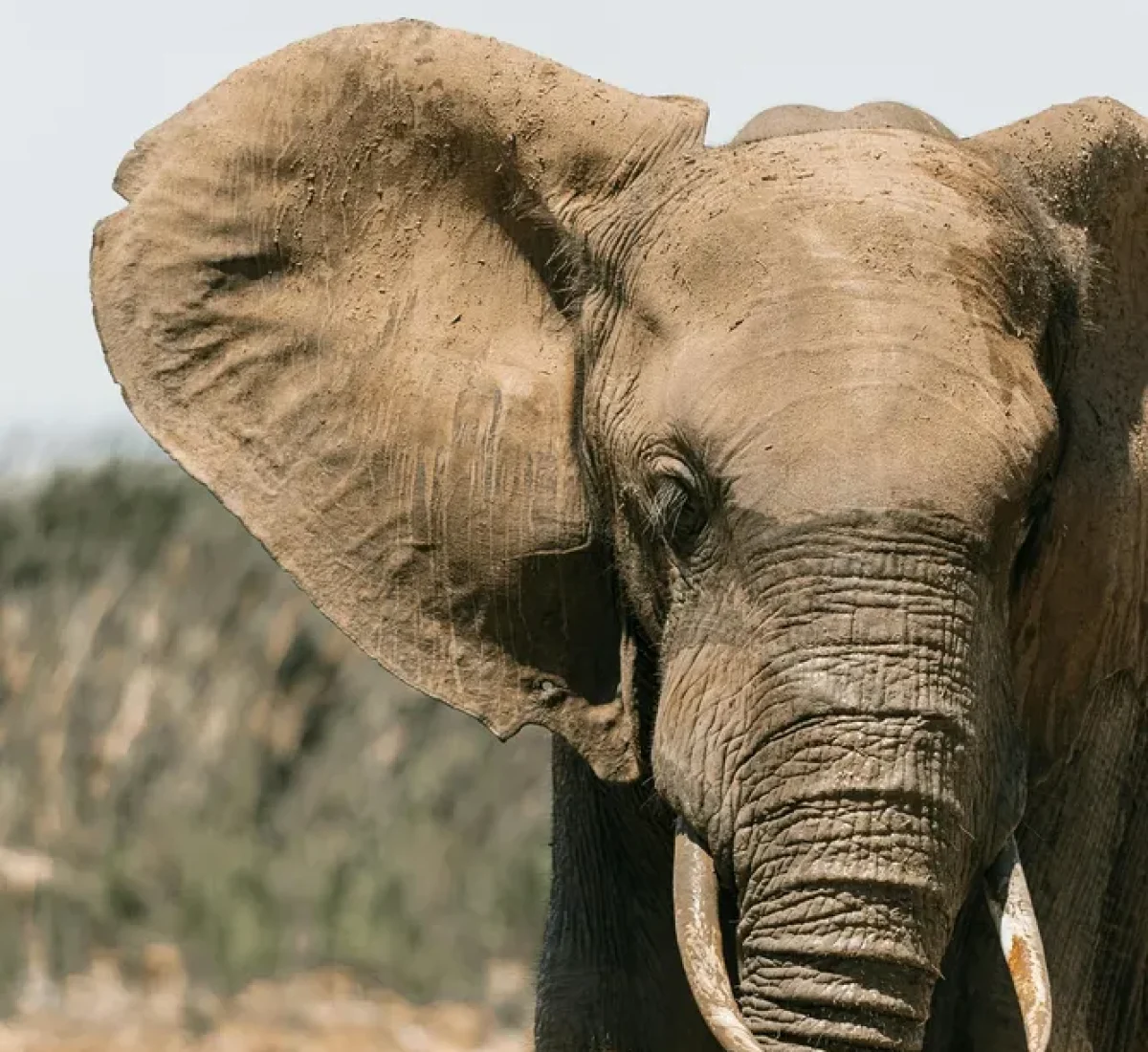 pexels-taryn-elliott-6551925_BAJA