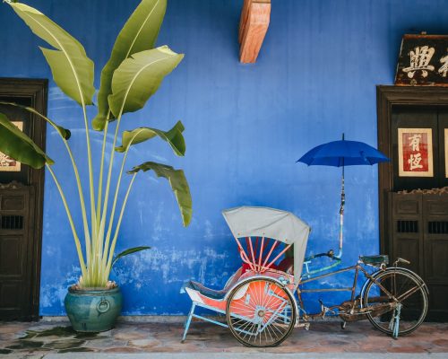 pexels-vitalina-12587256