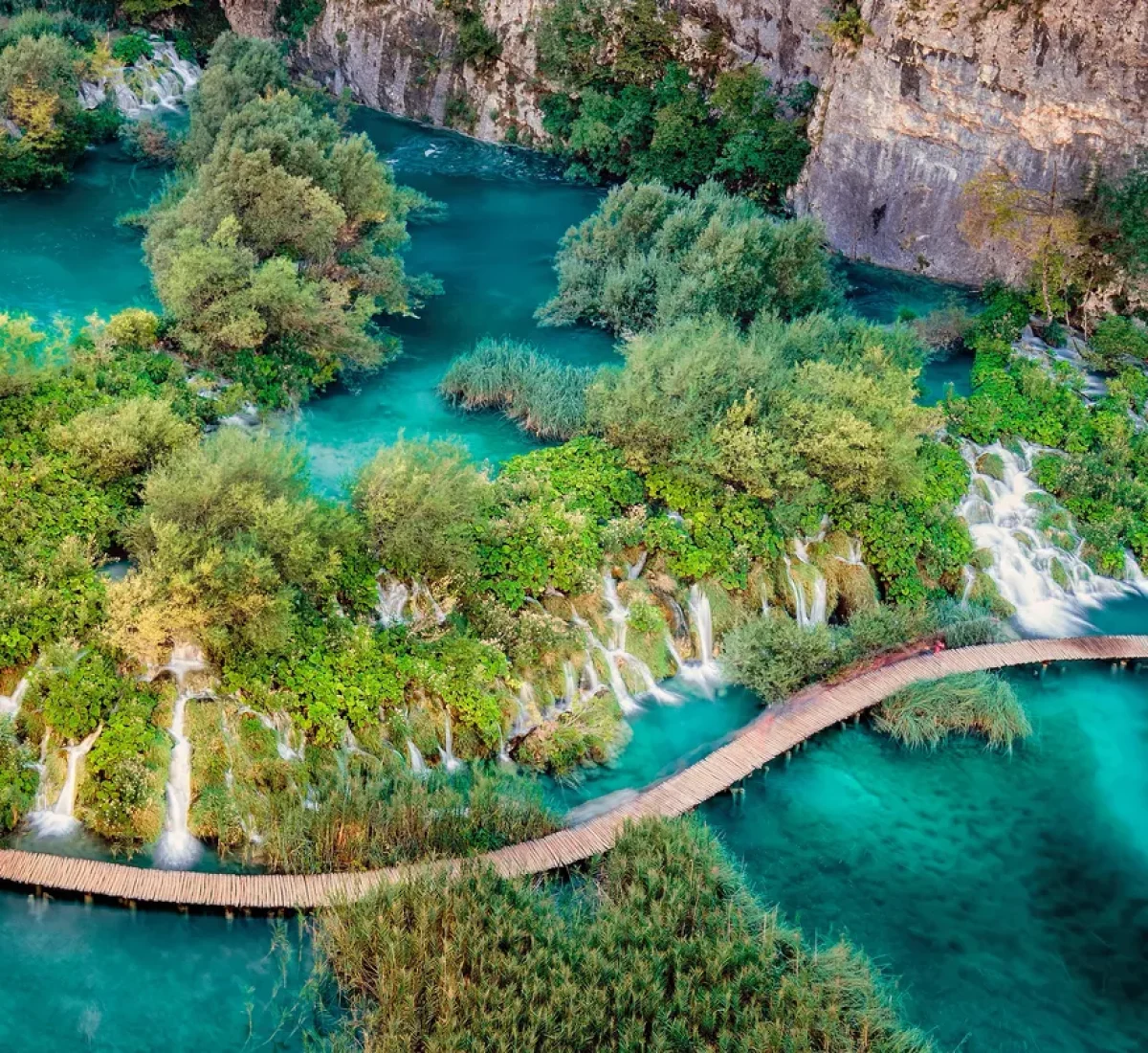 pexels-руслан-кальницкий-7195775_BAJA