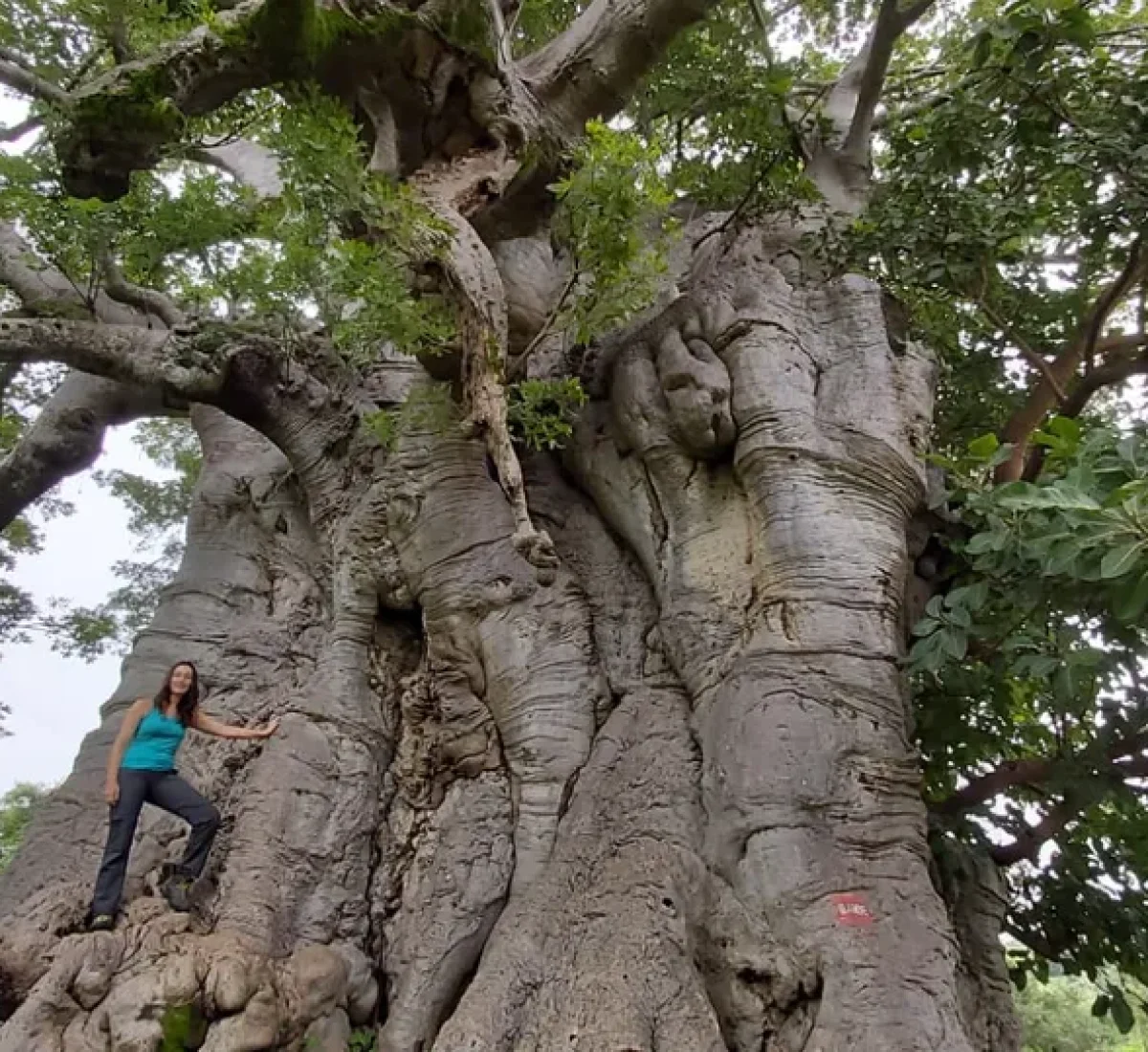 senegal omar (2)_BAJA